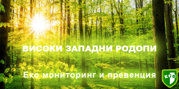 Local_Green_Deal_banner.jpg