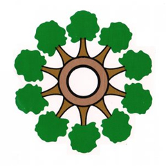 dpraktika-6_1.jpg